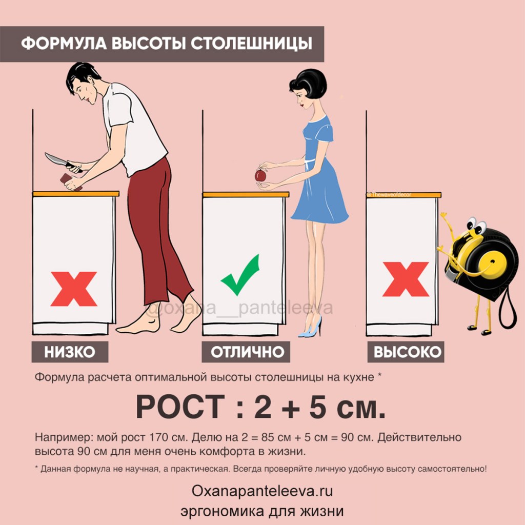 эргономика кухни оксана пантелеева